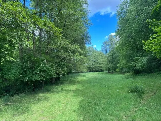 ca. 2.400 m² eigendomsperceel Meuselwitz, Sachsen - Duitsland