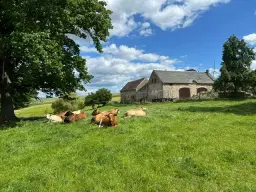 ca. 2.400 m² eigendomsperceel Meuselwitz, Sachsen - Duitsland