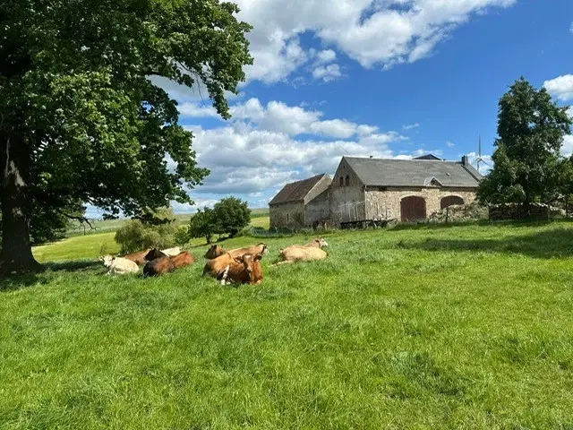 ca. 2.400 m² eigendomsperceel Meuselwitz, Sachsen - Duitsland