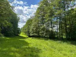 ca. 2.400 m² eigendomsperceel Meuselwitz, Sachsen - Duitsland