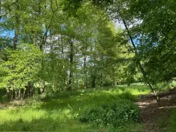 ca. 2.400 m² eigendomsperceel Meuselwitz, Sachsen - Duitsland