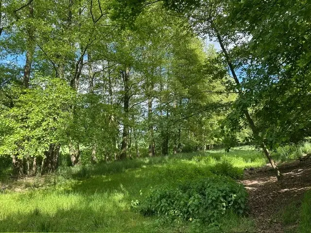 ca. 2.400 m² eigendomsperceel Meuselwitz, Sachsen - Duitsland