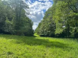 ca. 2.400 m² eigendomsperceel Meuselwitz, Sachsen - Duitsland