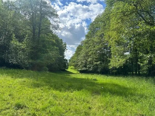ca. 2.400 m² eigendomsperceel Meuselwitz, Sachsen - Duitsland
