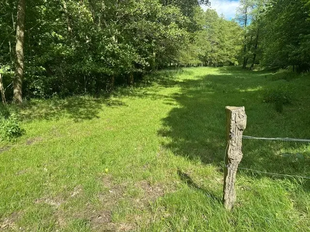 ca. 2.400 m² eigendomsperceel Meuselwitz, Sachsen - Duitsland