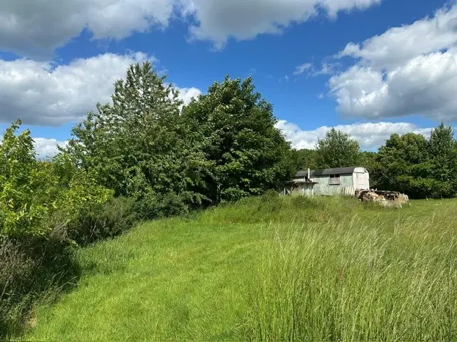ca. 2.400 m² eigendomsperceel Meuselwitz, Sachsen - Duitsland