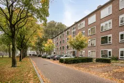 Breda, Planciusplein 14