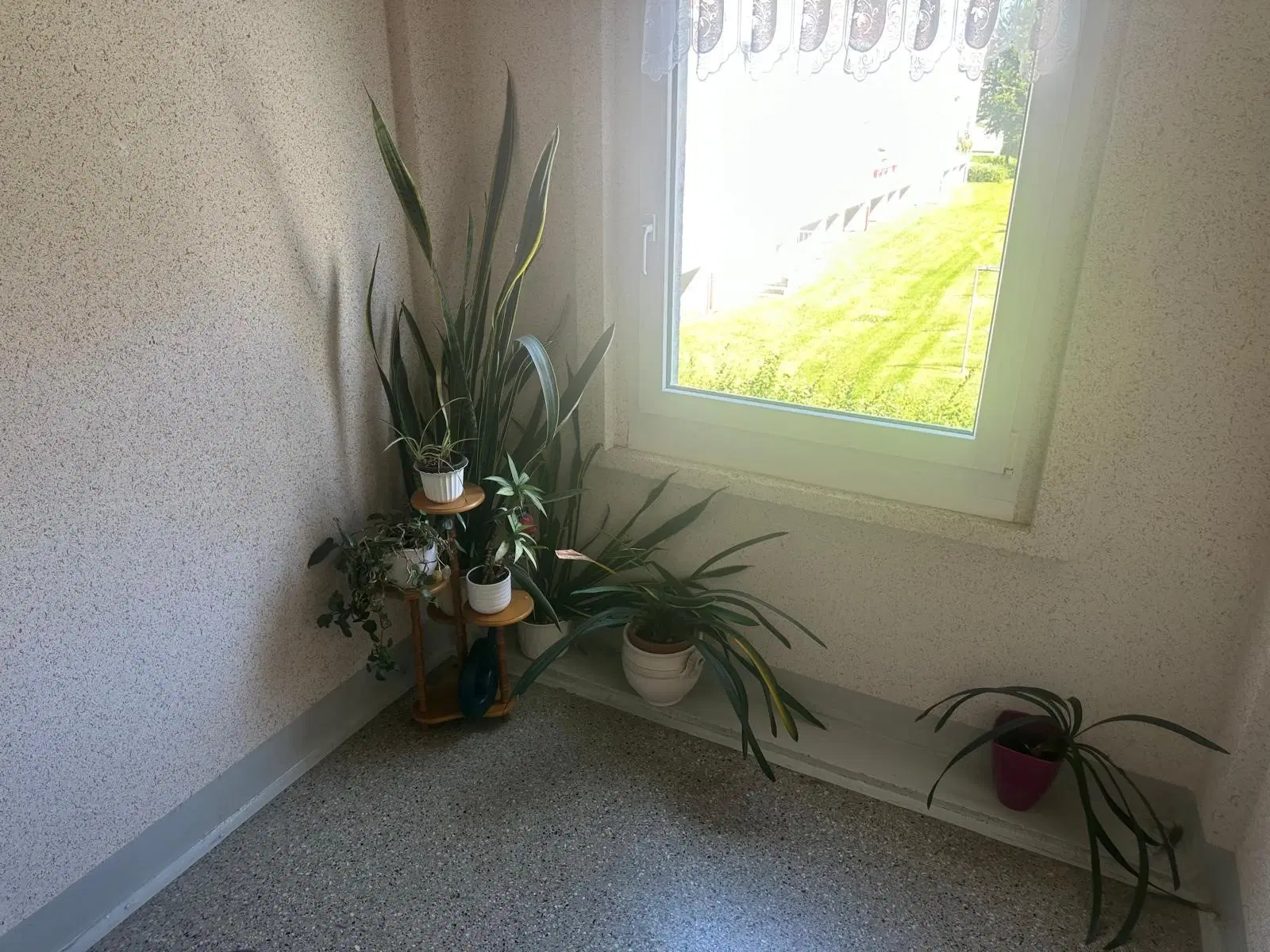 12 appartementen, perceel 43804 m², huursom € 49.280,= in Markneukirchen - Duitsland