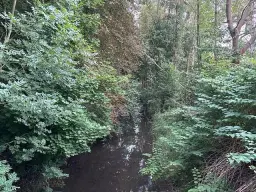 3.076 m² eigendomsperceel nabij Eischleben, Thüringen - Duitsland