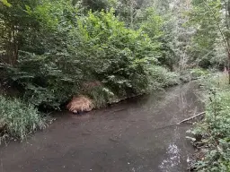 3.076 m² eigendomsperceel nabij Eischleben, Thüringen - Duitsland