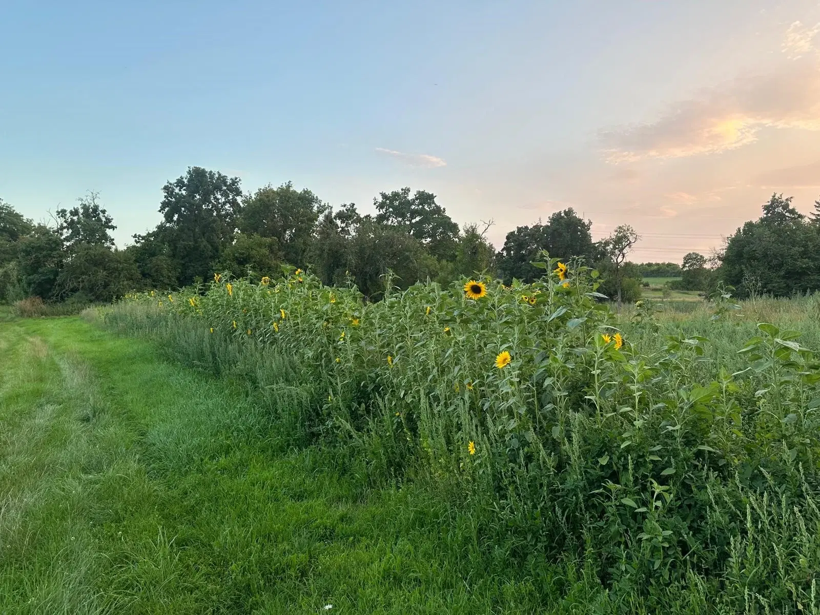 3.076 m² eigendomsperceel nabij Eischleben, Thüringen - Duitsland