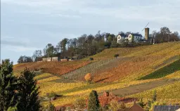 Wijngaard met Dornfelder druiven en appelbomen van totaal 2.072 m² nabij Heilbronn - Duitsland