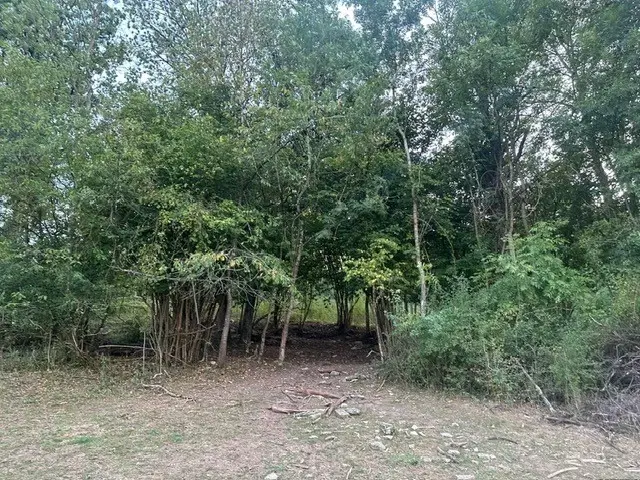 650 m² eigendomsperceel Röttingen, Bayern - Duitsland