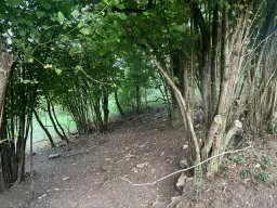 650 m² eigendomsperceel Röttingen, Bayern - Duitsland