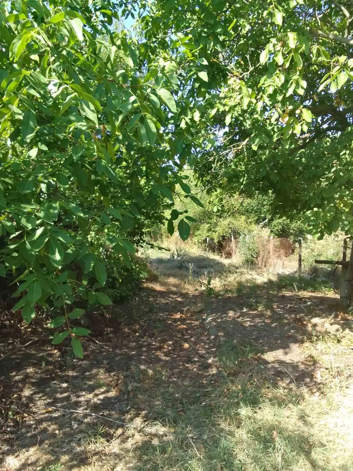 1.011 m² grond met een klassiek Balkanhuis en bijgebouw in Izvor Mahala - Bulgarije