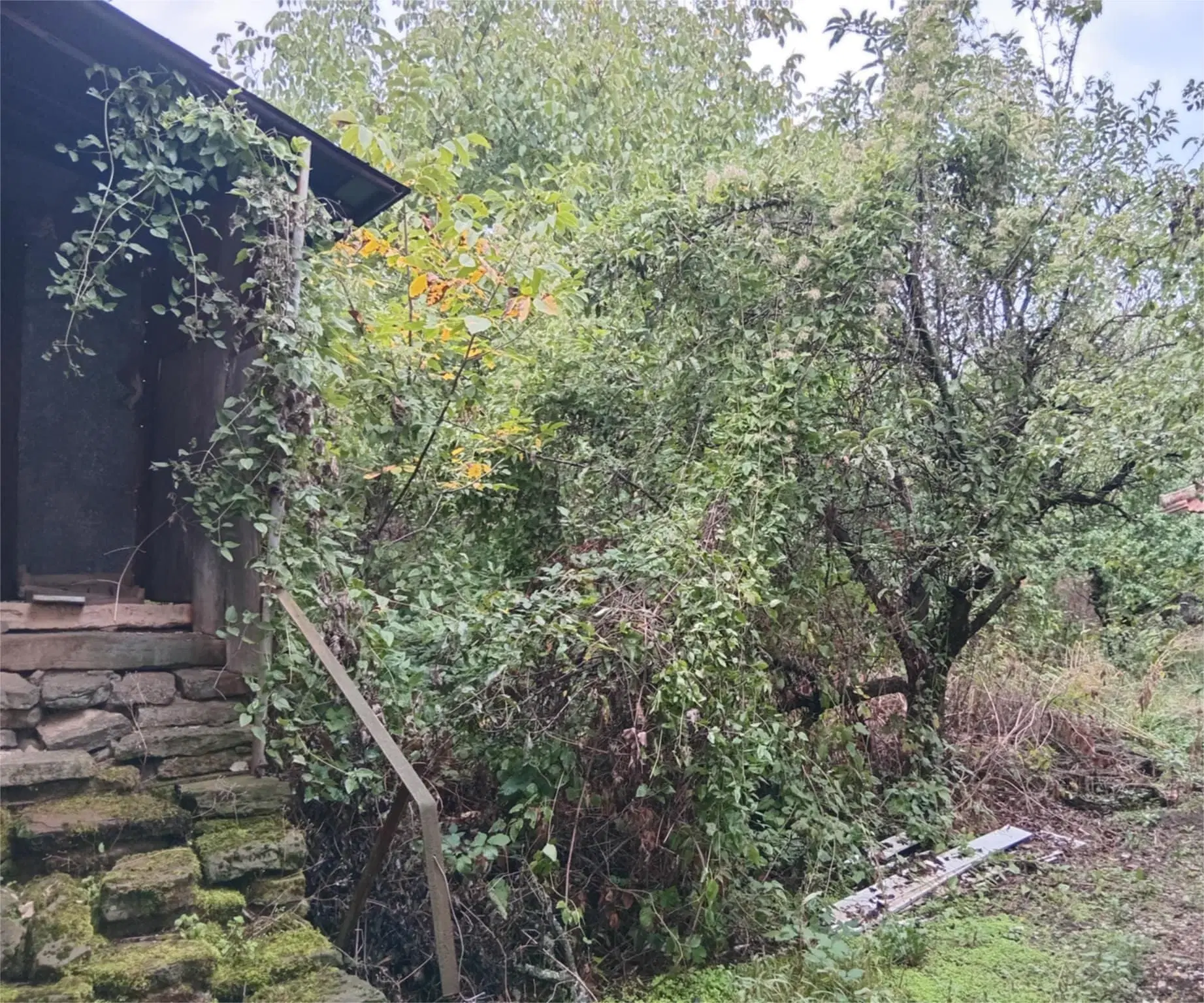 1.011 m² grond met een klassiek Balkanhuis en bijgebouw in Izvor Mahala - Bulgarije