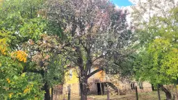 1.011 m² grond met een klassiek Balkanhuis en bijgebouw in Izvor Mahala - Bulgarije