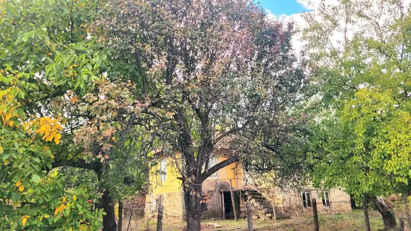 1.011 m² grond met een klassiek Balkanhuis en bijgebouw in Izvor Mahala - Bulgarije