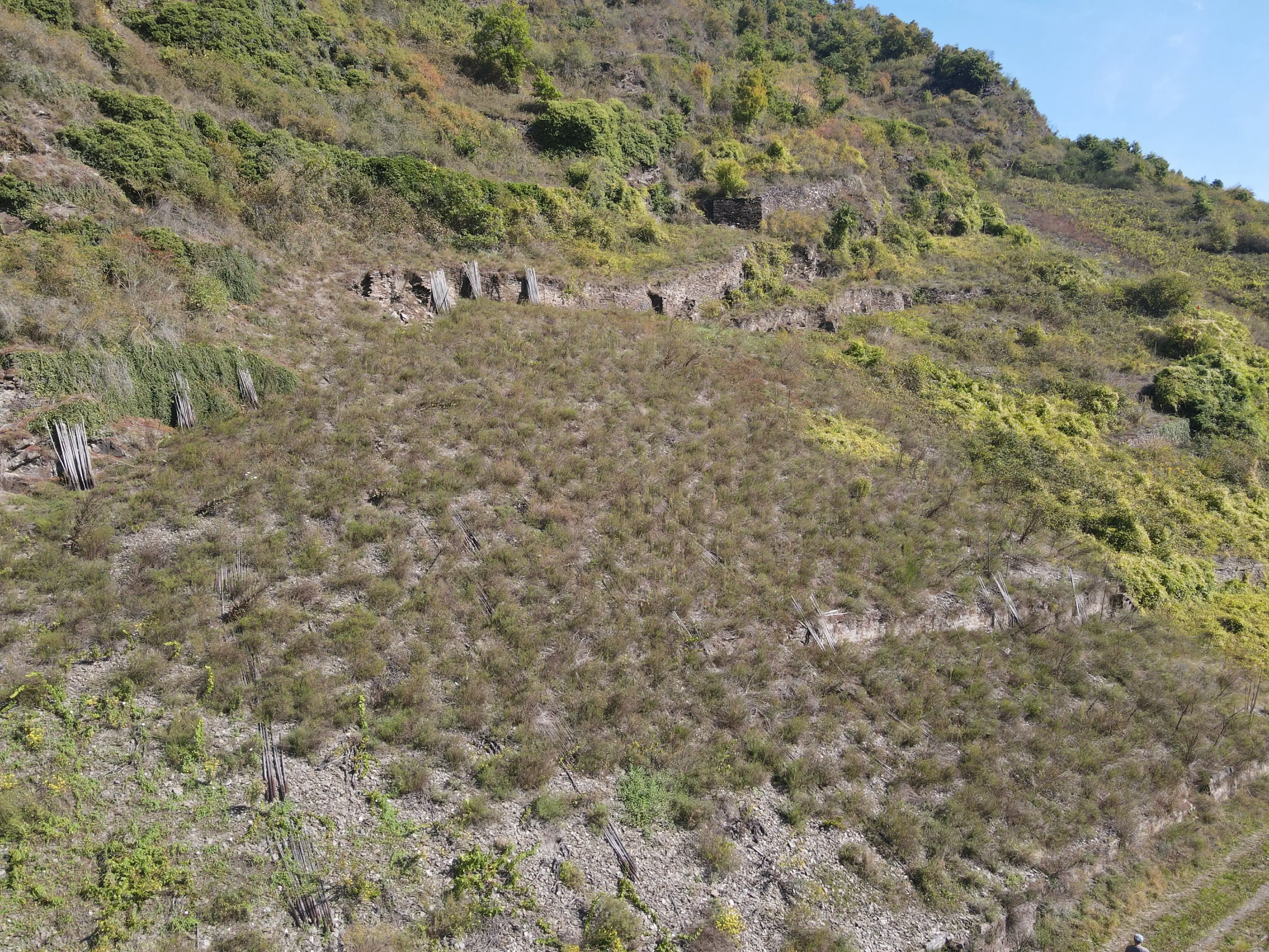 693 m² eigendomsperceel in Klotten naast Cochem - Duitsland