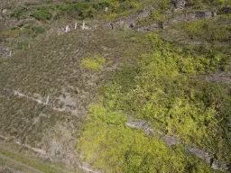 693 m² eigendomsperceel in Klotten naast Cochem - Duitsland