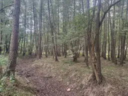 Perceel 762 m² bij het water naast Bad Schmiedeberg - Duitsland