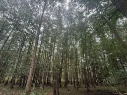 Perceel 762 m² bij het water naast Bad Schmiedeberg - Duitsland