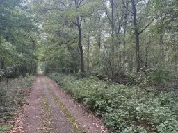 Perceel 762 m² bij het water naast Bad Schmiedeberg - Duitsland