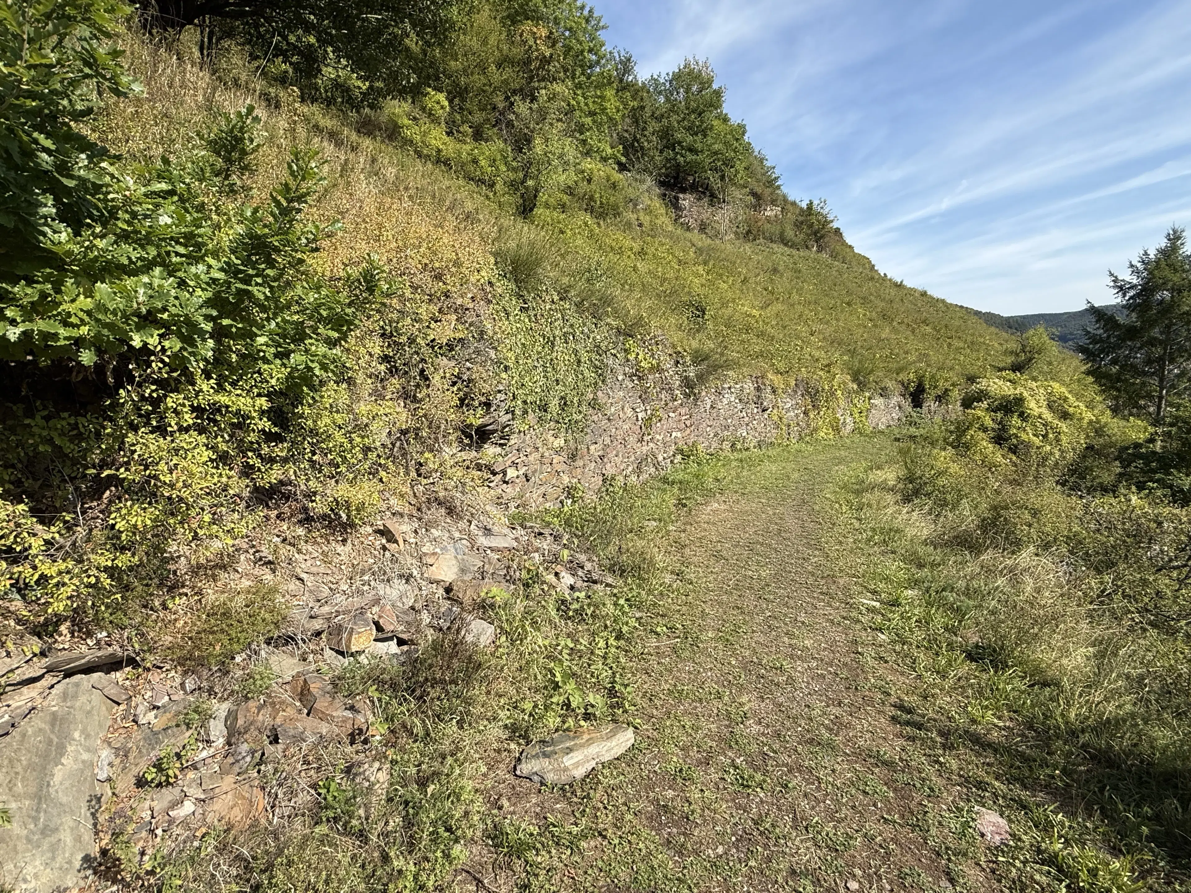 Perceel van 1.165 m2 naast Cochem centrum - Duitsland