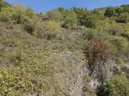 Perceel van 1.165 m2 naast Cochem centrum - Duitsland