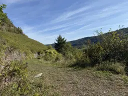 Perceel van 1.165 m2 naast Cochem centrum - Duitsland