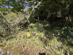 2 percelen van totaal 424 m² naast Cochem centrum - Duitsland