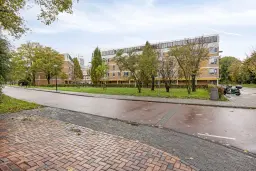 Amsterdam, Haardstee 176