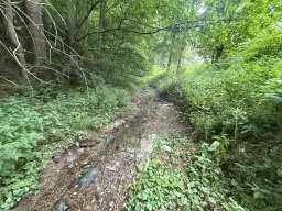 Perceel van 1.429 m² in de natuur van Greiz, Thüringen - Duitsland