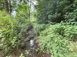 Perceel van 1.429 m² in de natuur van Greiz, Thüringen - Duitsland