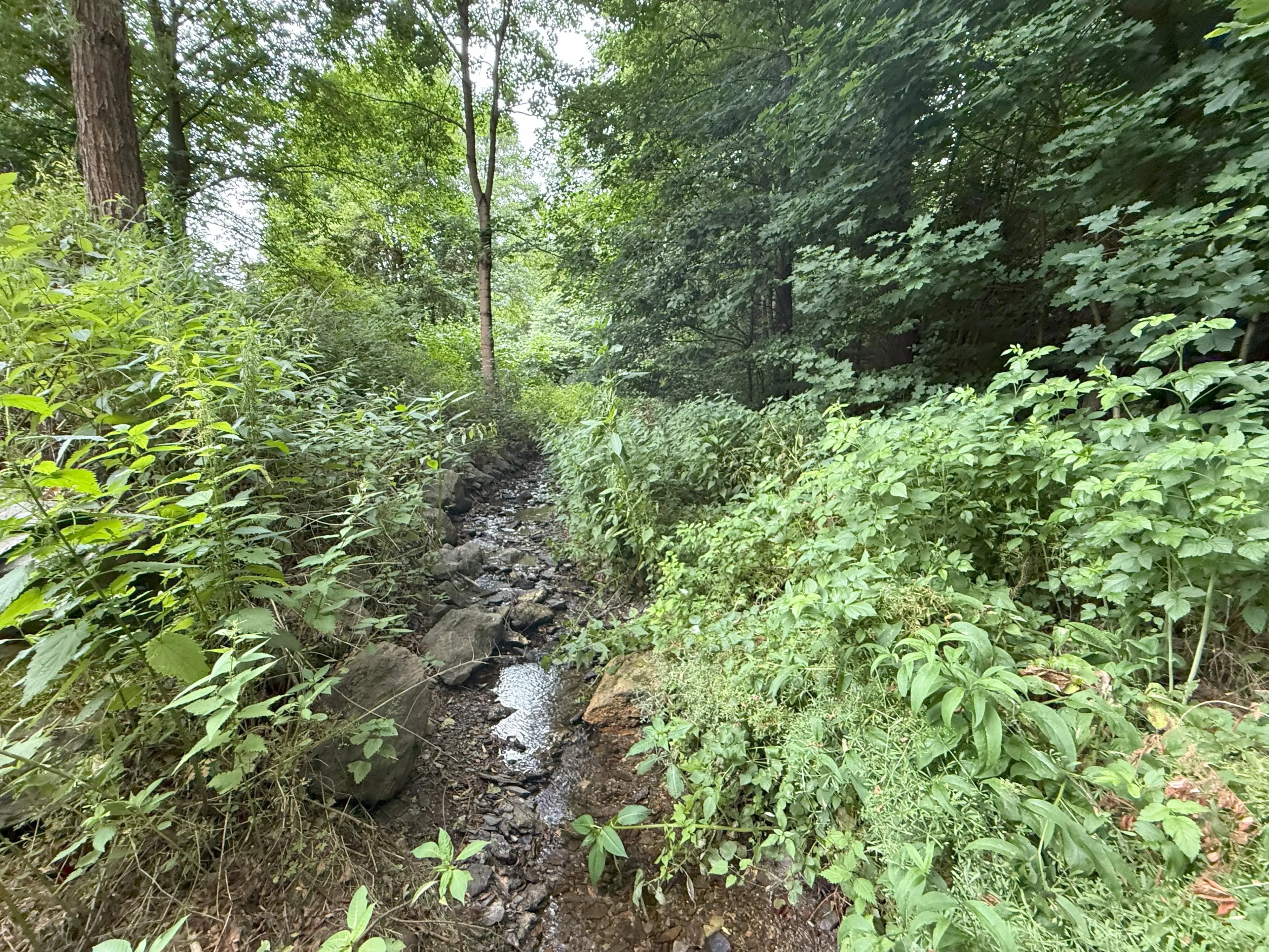 Perceel van 1.429 m² in de natuur van Greiz, Thüringen - Duitsland