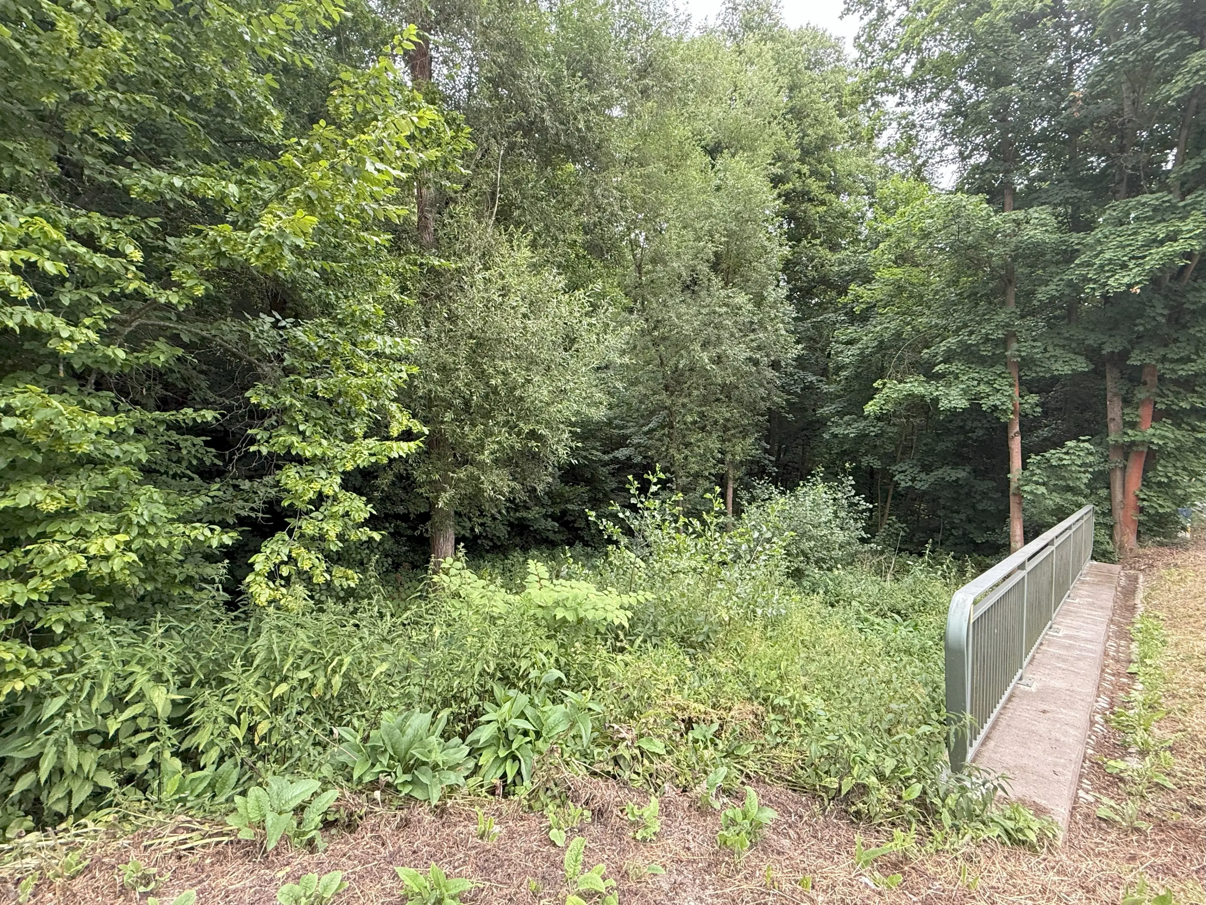 Perceel van 1.429 m² in de natuur van Greiz, Thüringen - Duitsland