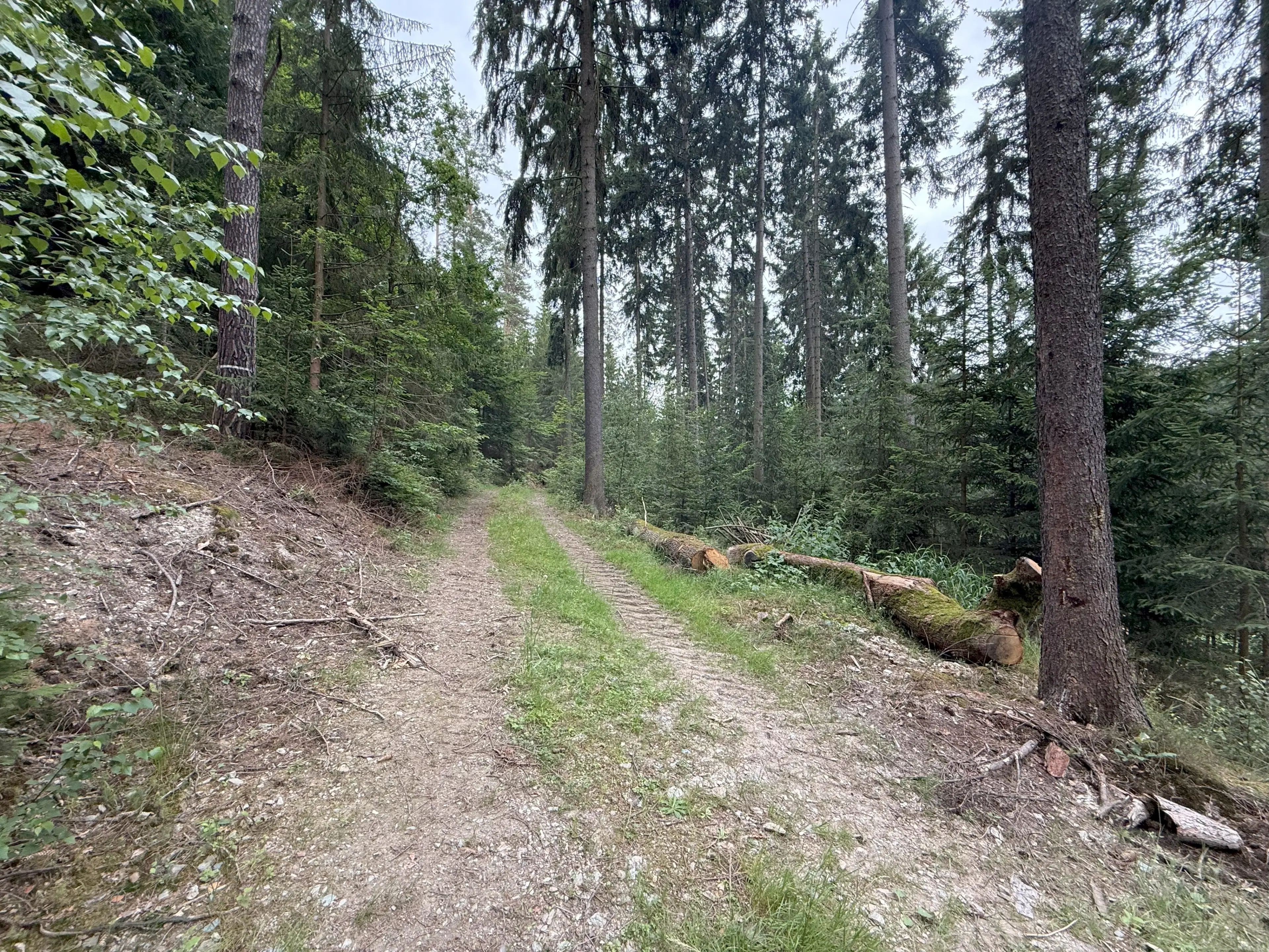Perceel van 1.429 m² in de natuur van Greiz, Thüringen - Duitsland