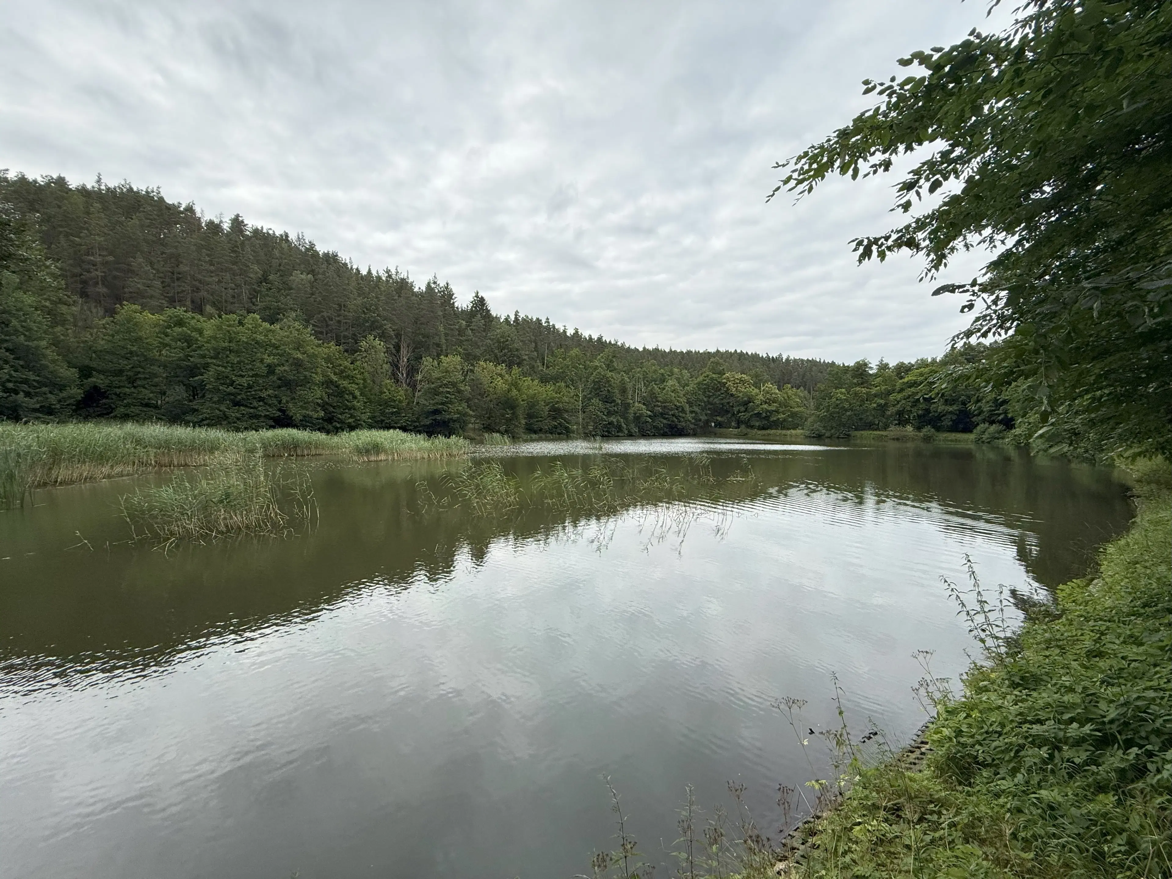 Perceel van 1.429 m² in de natuur van Greiz, Thüringen - Duitsland