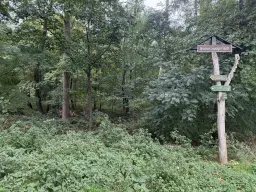 Perceel van 5.183 m² bij het water naast Bad Schmiedeberg - Duitsland