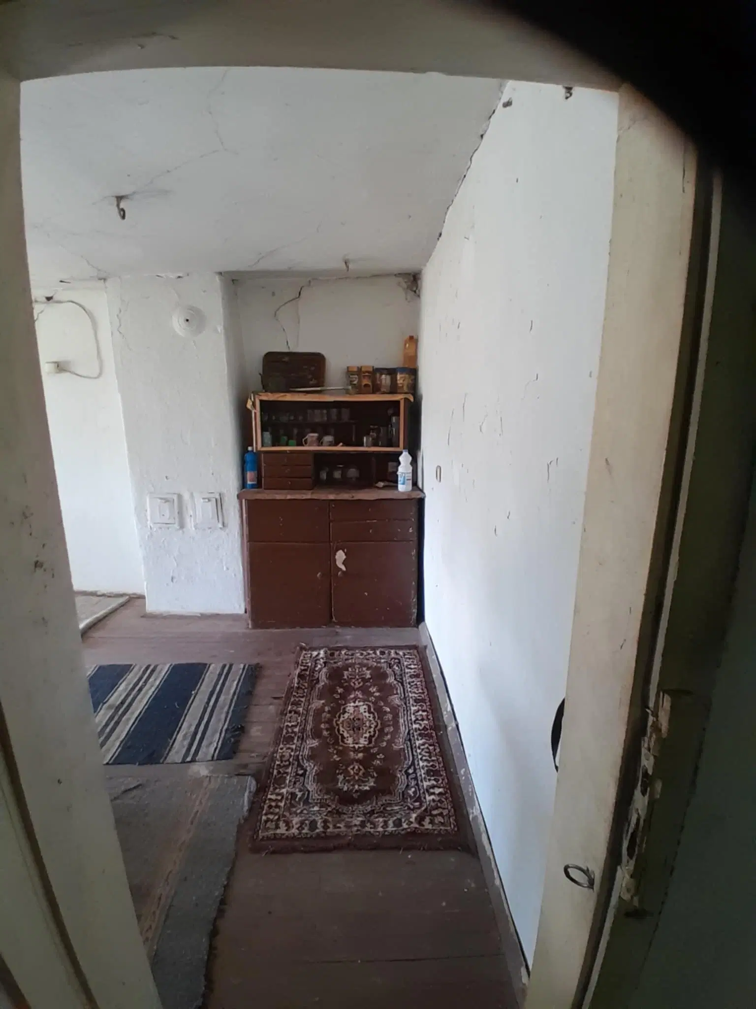 2 huizen op 2.480 m² land en bijgebouwen in Rakovitsa, Vidin - Bulgarije