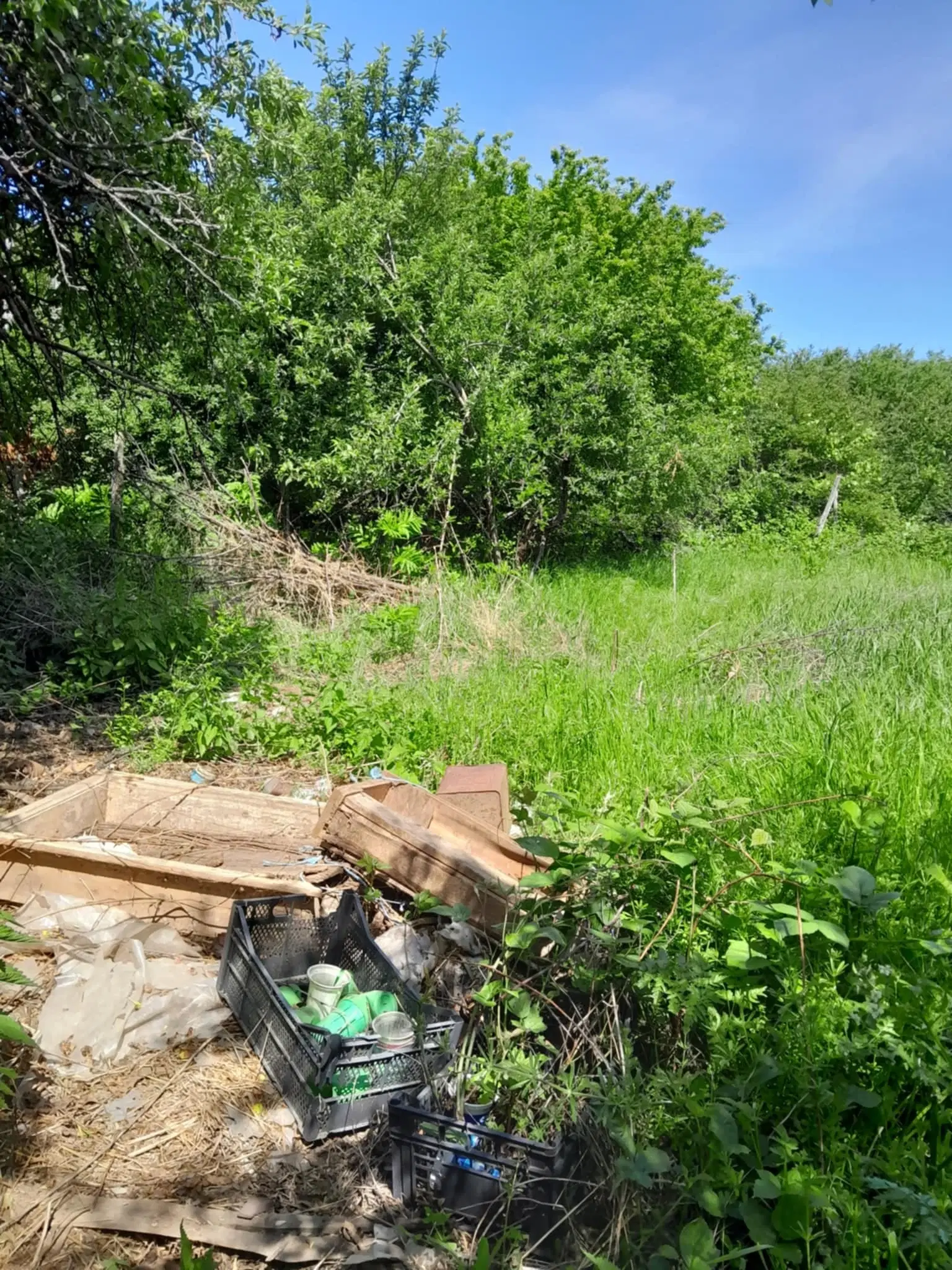 2 huizen op 2.480 m² land en bijgebouwen in Rakovitsa, Vidin - Bulgarije