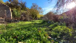 Huis met een perceel van 686 m² en extra gebouwen in Kosta Perchevo - Bulgarije