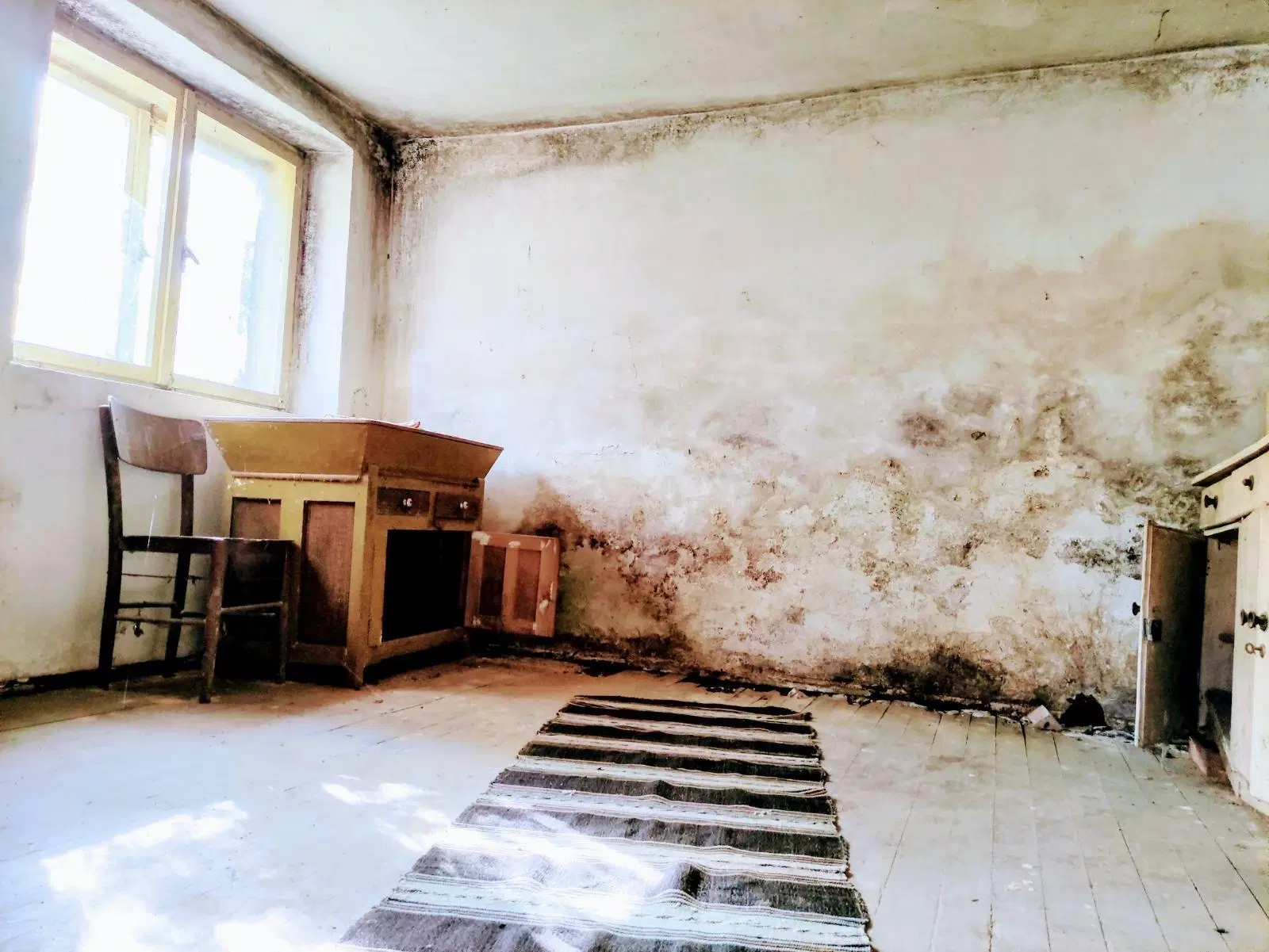 Eigendom 2 huizen aan de rivier, bijgebouw en 1.100 m² grond in Podgore, Vidin - Bulgarije