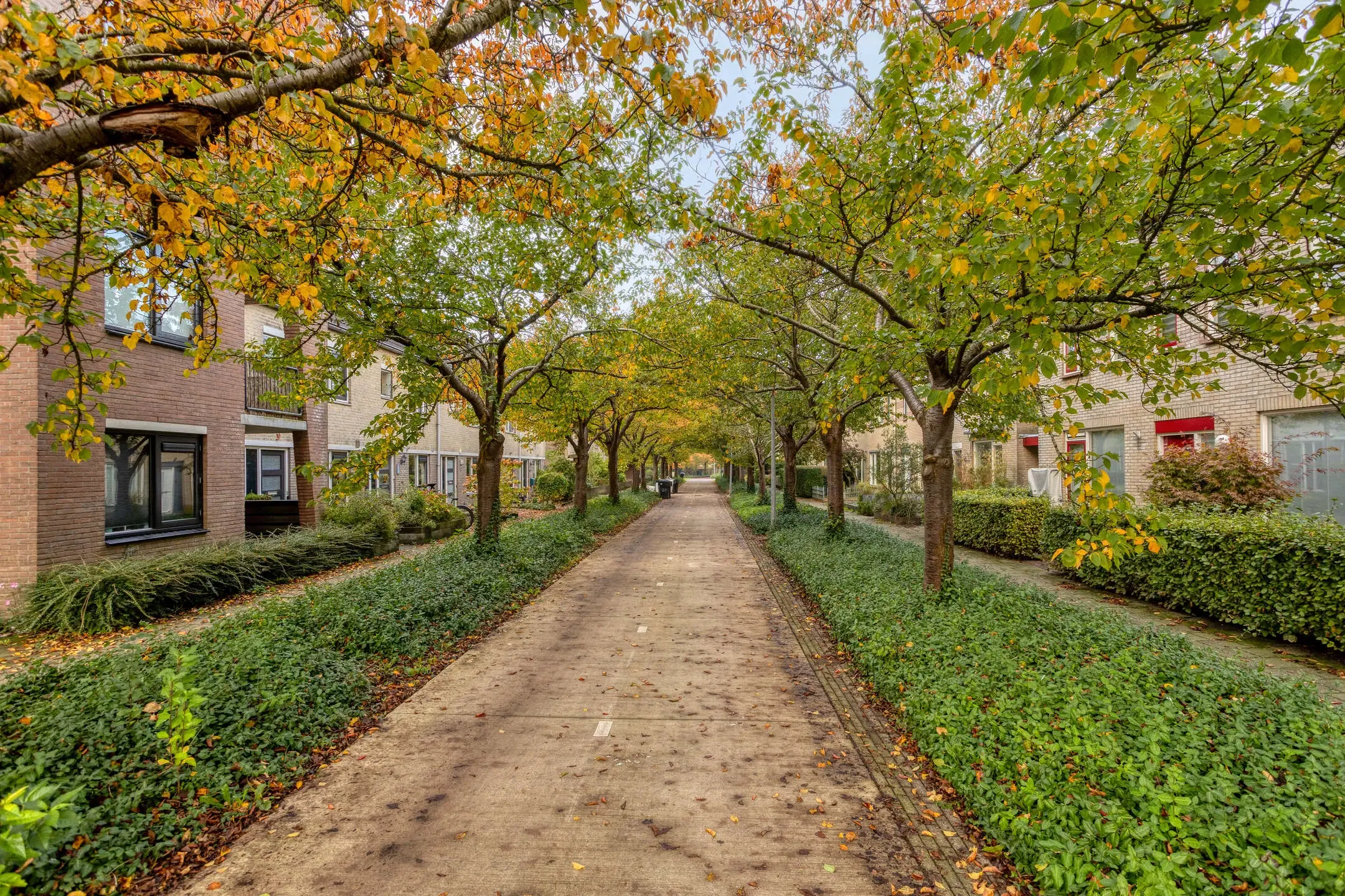 Harderwijk, Chopindreef 42