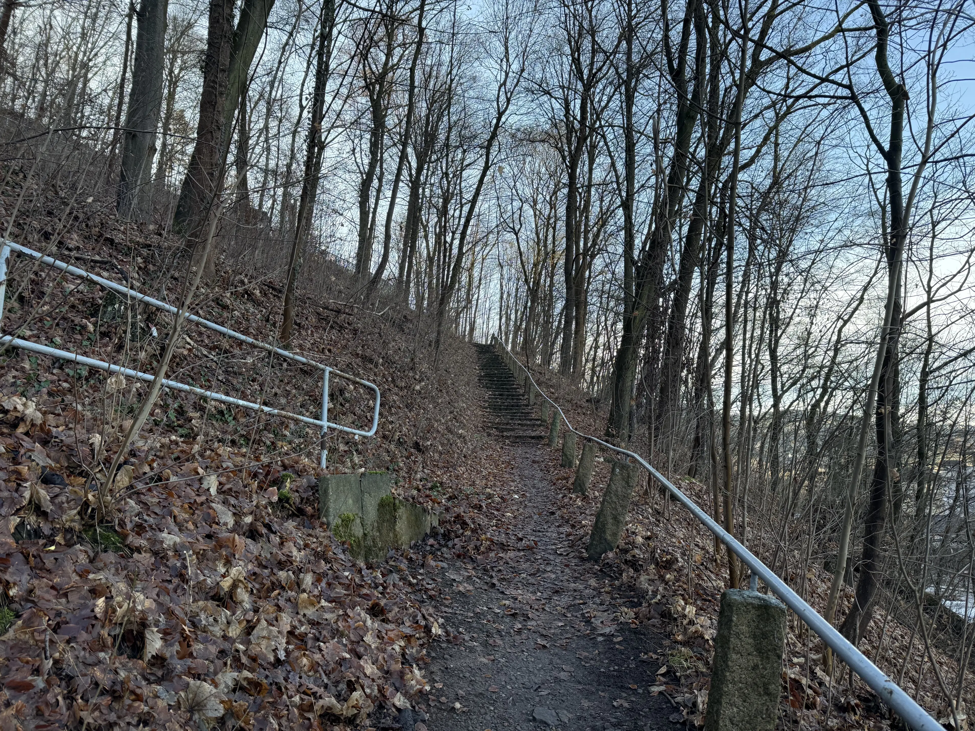 Contractvrij perceel van 3.902 m² in Aue Bad Schlema, Duitsland