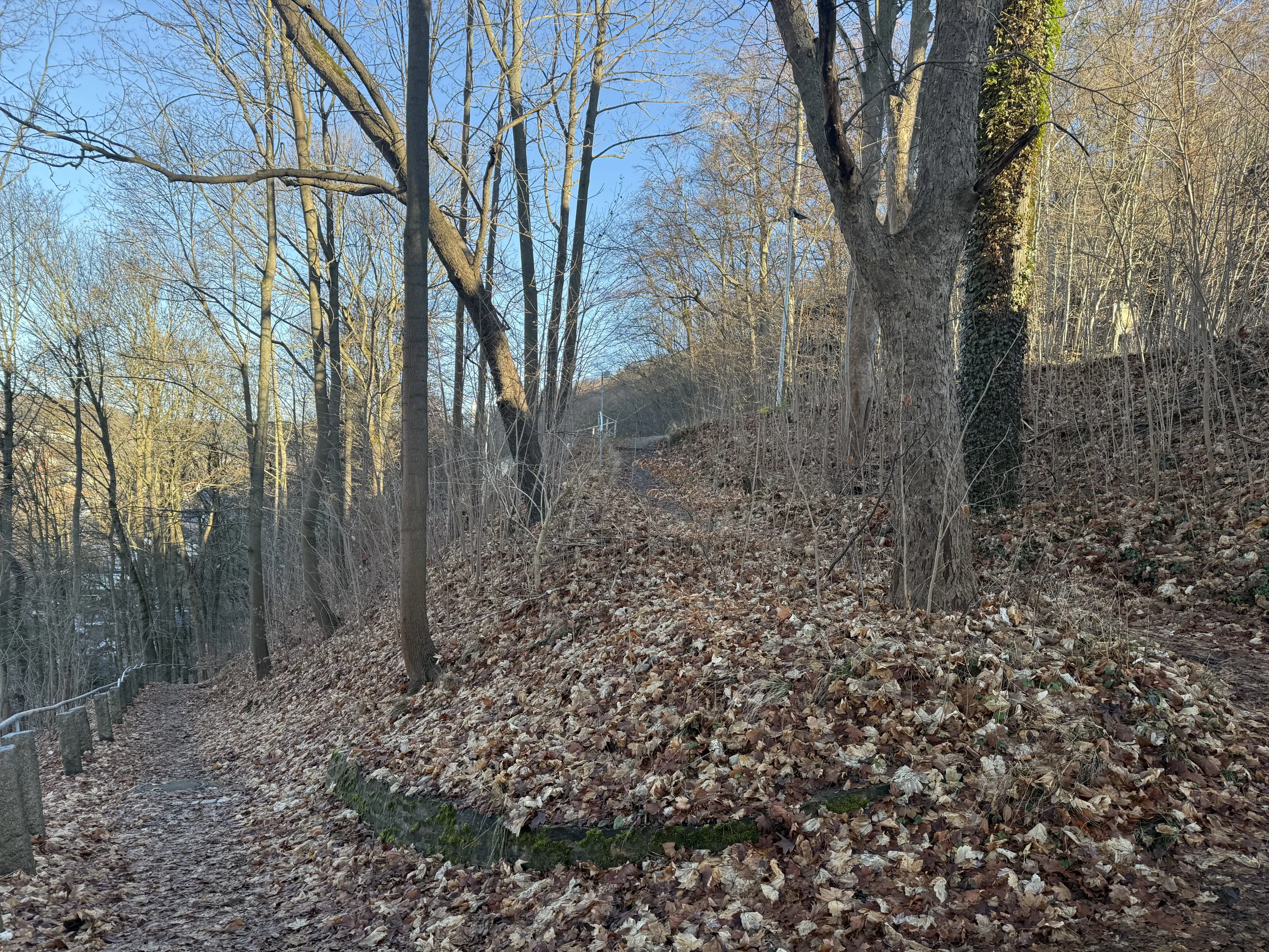 Contractvrij perceel van 3.902 m² in Aue Bad Schlema, Duitsland