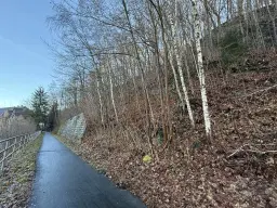 Contractvrij perceel van 3.902 m² in Aue Bad Schlema, Duitsland