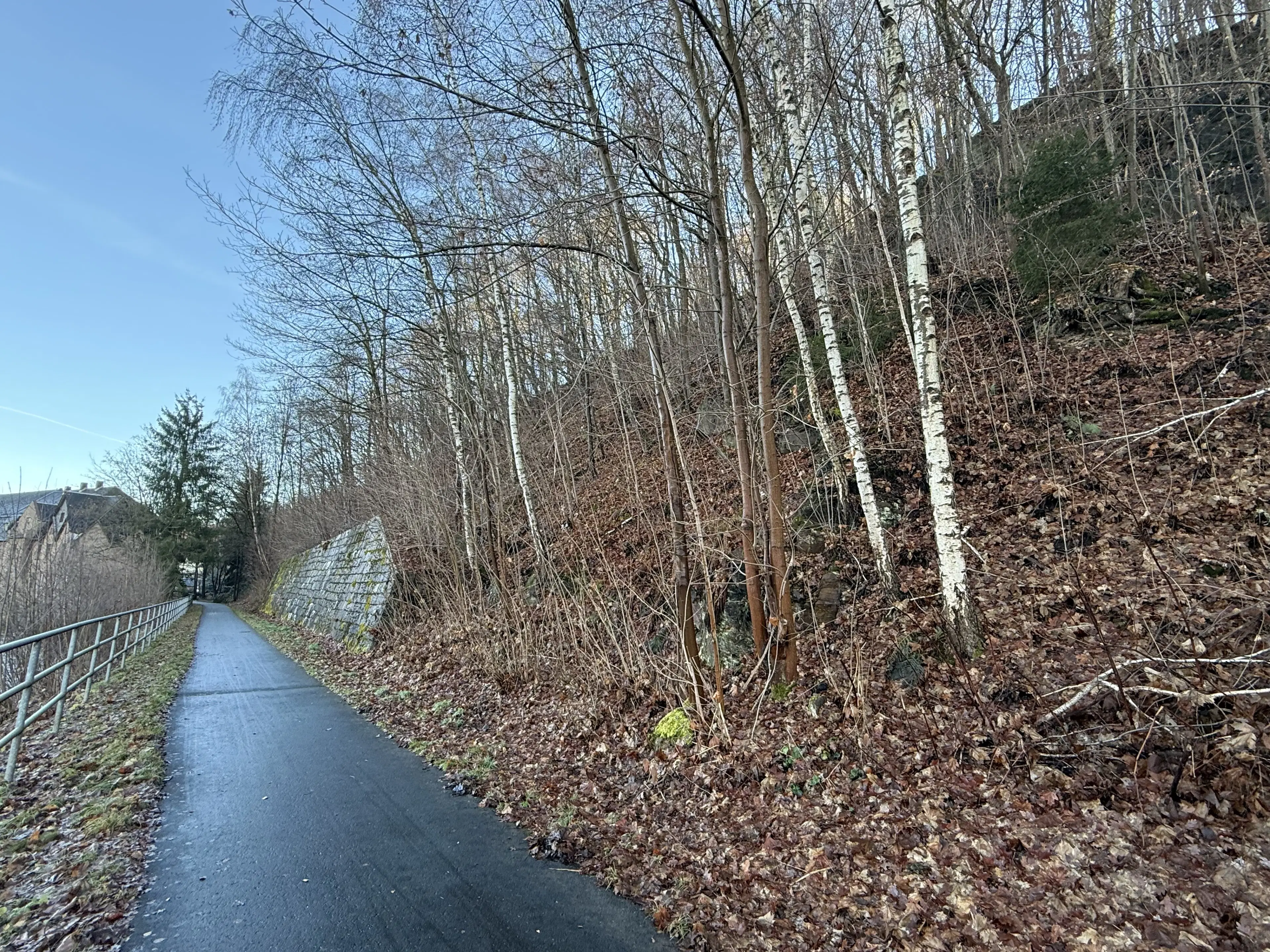 Contractvrij perceel van 3.902 m² in Aue Bad Schlema, Duitsland