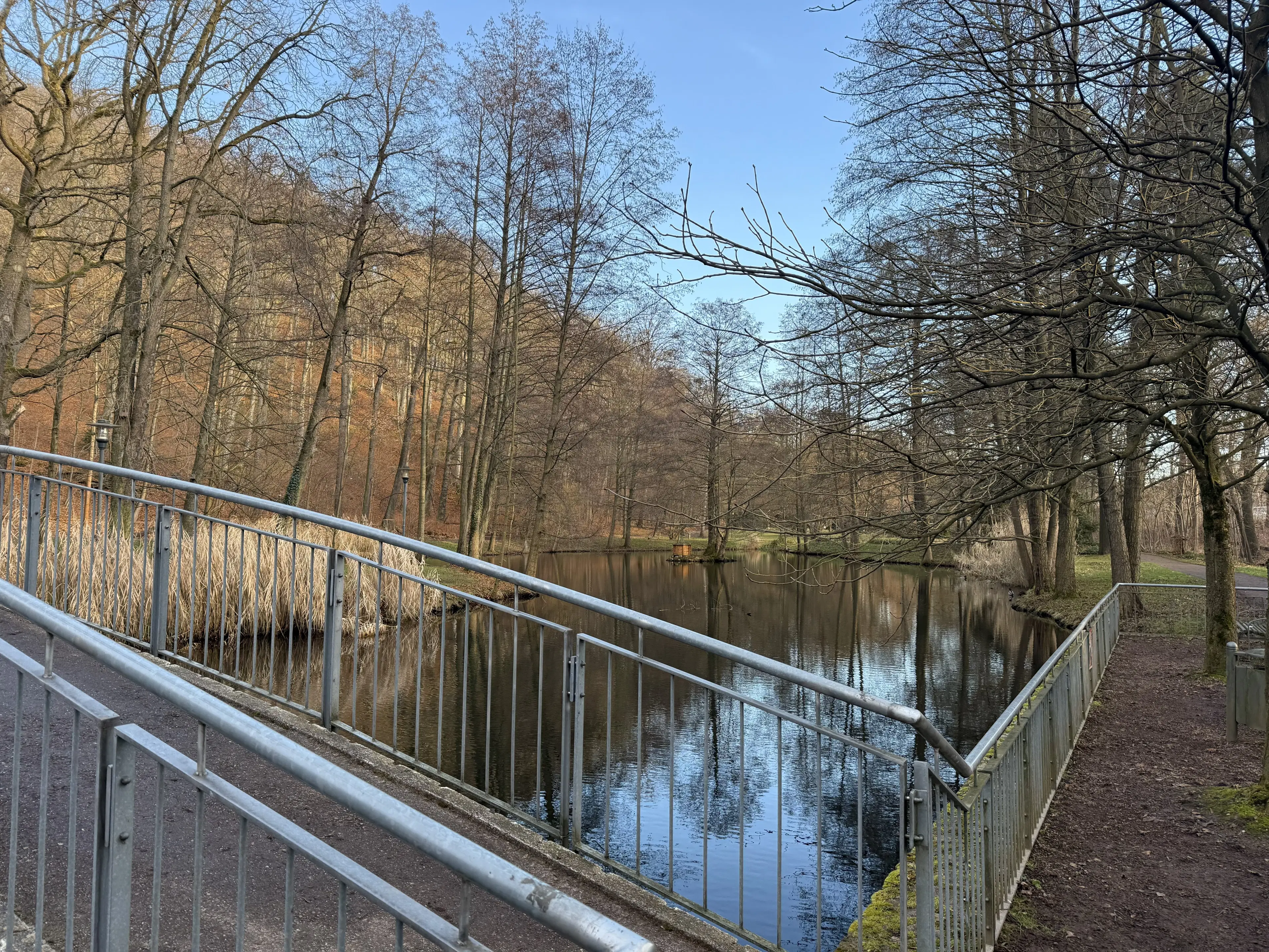 Contractvrij perceel van 3.902 m² in Aue Bad Schlema, Duitsland