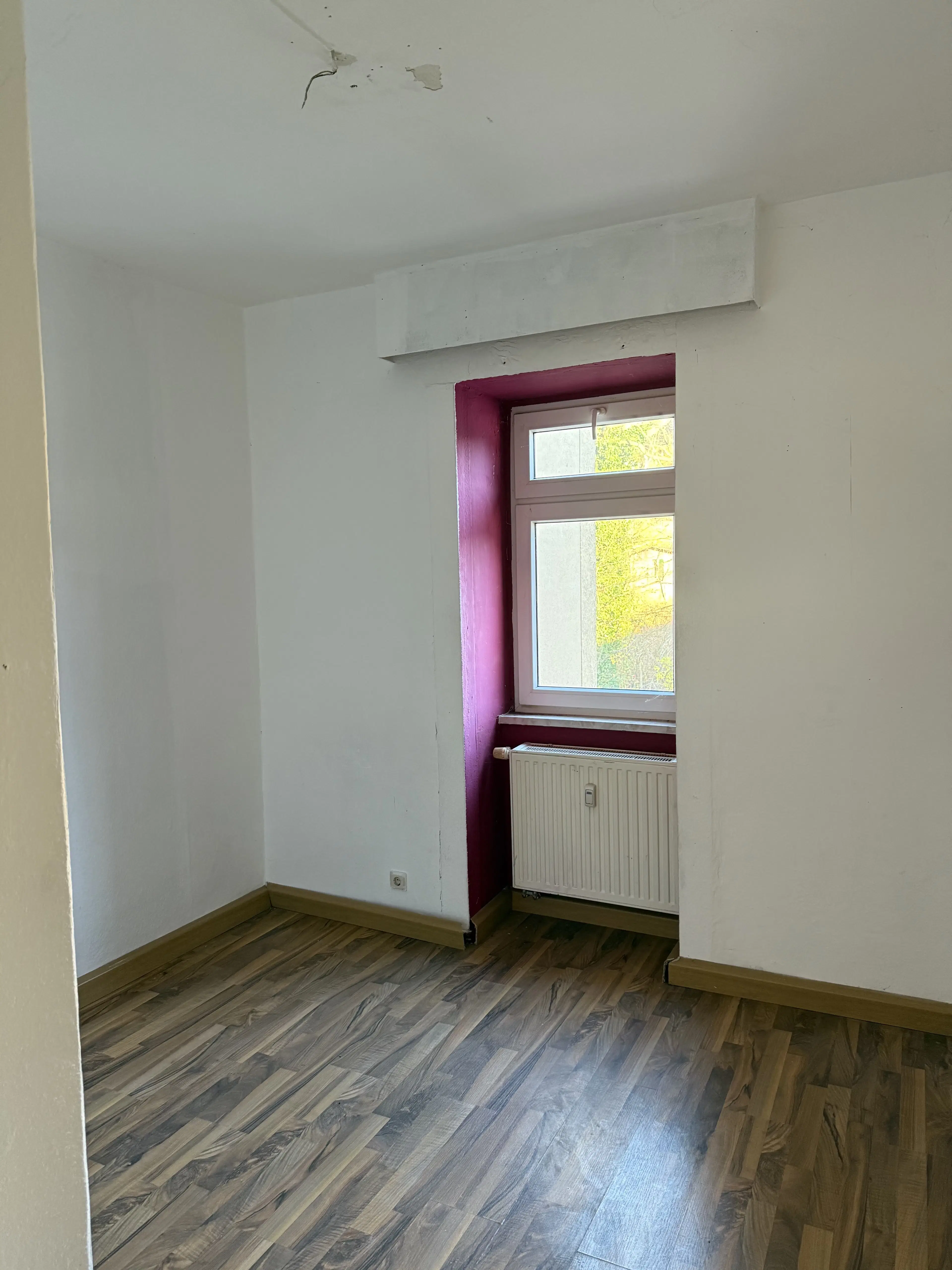 2 Karakteristieke wooncomplexen met totaal 19 eenheden op perceel van 3810 m² in Borstendorf, Duitsland